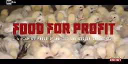 Report 2024 - Food for Profit - Video - RaiPlay