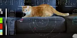 Il primo video di un gatto in streaming dallo Spazio profondo - Il Post