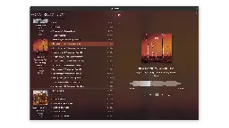 Tambourine Music Player | Flathub