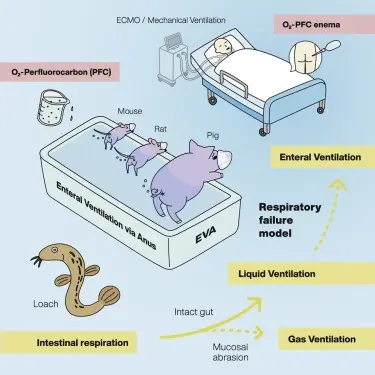 (Ryo Okabe et al., Med)