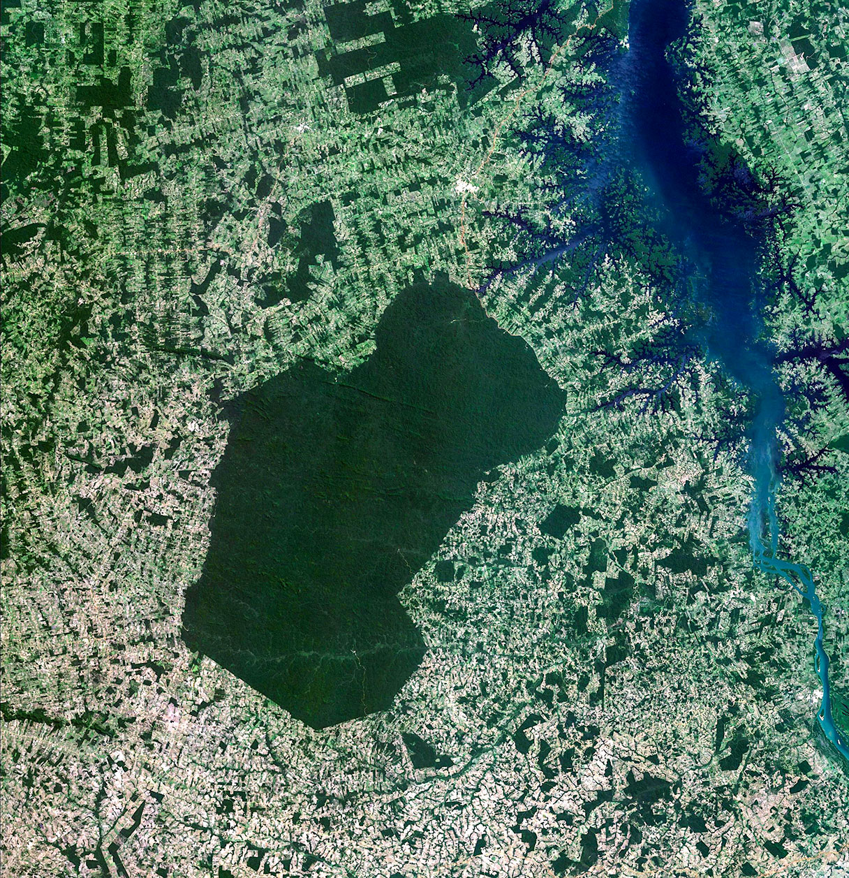 Un'immagine dal satellite Amazonia-1 mostra un'isola oscura di foresta pluviale nel territorio indigeno di Parakanã nello stato del Para, circondata da campi e pascoli. Il monitoraggio della deforestazione ha aiutato il Brasile a proteggere l'Amazzonia. LGI/DIOTG/INPE