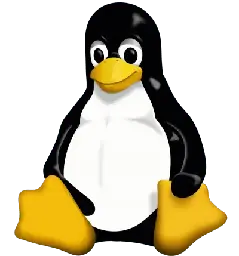 Linux è davvero adatto a qualsiasi ambito? Secondo alcuni tecnici che si occupano di aerospazio non ancora!