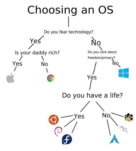 L'immagine è un diagramma a flusso decisionale umoristico per la scelta di un sistema operativo.  Inizia chiedendo se si teme la tecnologia, portando a due rami:  un ramo per chi teme la tecnologia e un ramo per chi non la teme.  Il ramo "teme la tecnologia" si suddivide ulteriormente in base alla ricchezza dei genitori, portando a macOS (mela) o Chrome OS. Il ramo "non teme la tecnologia" chiede se si tiene alla libertà/privacy, portando a sistemi operativi Linux (vari loghi) o Windows. Infine, un ulteriore ramo chiede se si ha una vita, portando a diverse distribuzioni Linux a seconda della risposta.