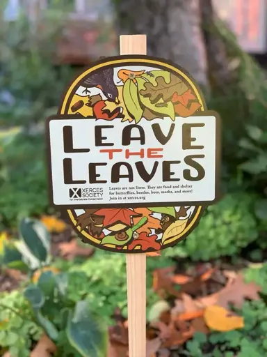 Leave the Leaves yard sign in a flowerbed mulched with fallen leaves, stating: Leaves are not litter. They are food and shelter for butterflies, beetles, bees, moths and more! Join in at xerces.org