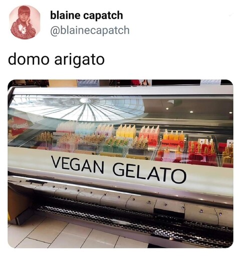 tweet. "domo arigato" image says vegan gelato