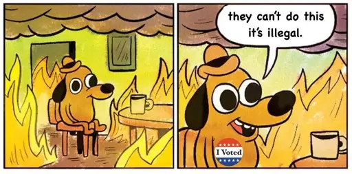 The "this is fine" dog is in the room that's on fire and has an 'i voted' button on. Our pup says "they can't do this it's illegal."