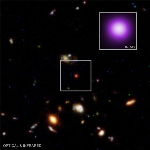 Questo nuovo “punto a raggi X” (ufficialmente noto come 3DHST-AEGIS-12014), situato a circa 11,8 miliardi di anni luce dalla Terra, potrebbe rappresentare un ponte cruciale tra le stelle-buco nero e i normali buchi neri supermassicci in crescita.

Mostra infatti la maggior parte delle caratteristiche di un LRD — inclusi le dimensioni ridotte, il colore rosso e l’enorme distanza — ma emette anche raggi X, a differenza degli altri LRD.

“Gli astronomi stanno cercando di capire cosa siano i little red dots da diversi anni”, ha dichiarato Raphael Hviding del Max Planck Institute for Astronomy in Germania. “Questo singolo oggetto a raggi X potrebbe essere — per usare un’espressione — ciò che ci permette di collegare tutti i puntini.”

Il team ha individuato questo speciale oggetto confrontando nuovi dati del James Webb Space Telescope con una profonda indagine eseguita in precedenza dal Chandra X-ray Observatory.

“Se i little red dots sono buchi neri supermassicci in rapida crescita, perché non emettono raggi X come gli altri buchi neri di questo tipo?” ha affermato la coautrice Anna de Graaff del Center for Astrophysics | Harvard & Smithsonian di Cambridge, Massachusetts.

“Trovare un little red dot diverso dagli altri ci offre nuove importanti informazioni su ciò che potrebbe alimentarli.”

